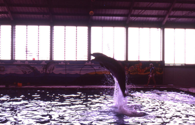 Marineland 1