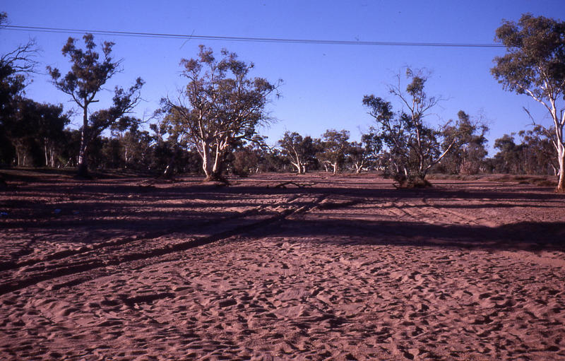 26 Todd River At Alice Springs