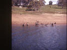 Lake Eucumbene 2