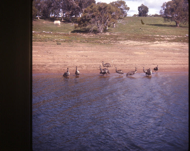 Lake Eucumbene 2