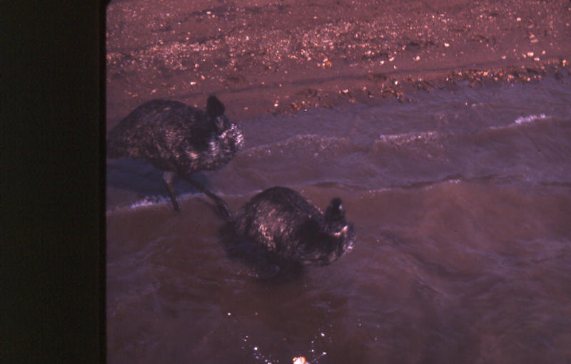 Lake Eucumbene 3