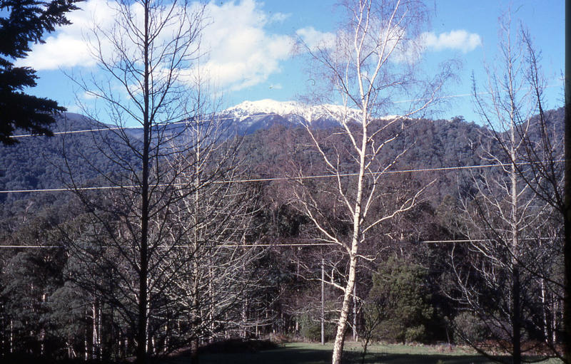 42 Bogong