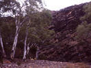 Bunyeroo Gorge