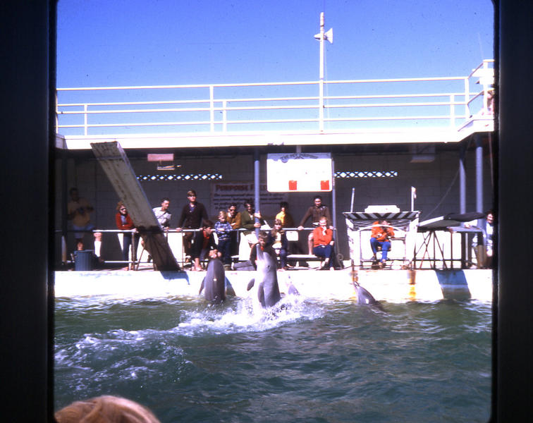 Marineland 5