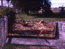 01 New garden at the Gordons