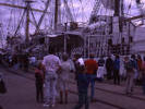 04 Tall Ships