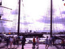 11 Tall Ships