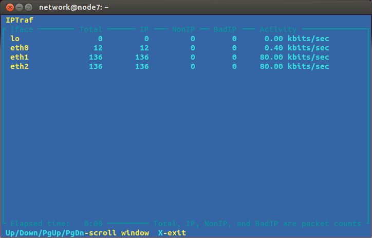 IPTraf general interface statistics