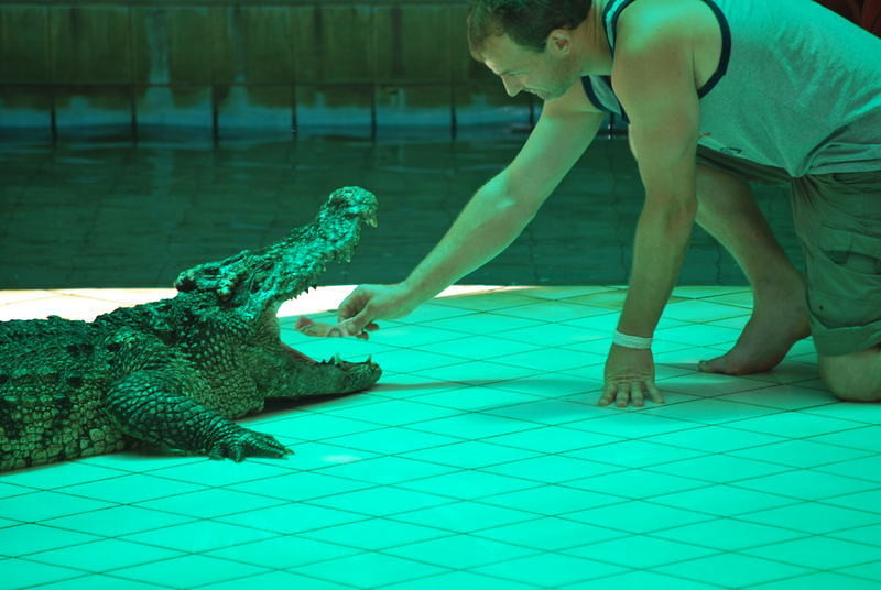 323 Peter placing 100 Baht in crocodile