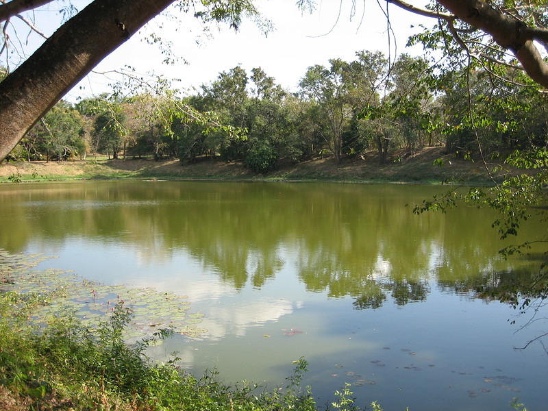 Watering Hole