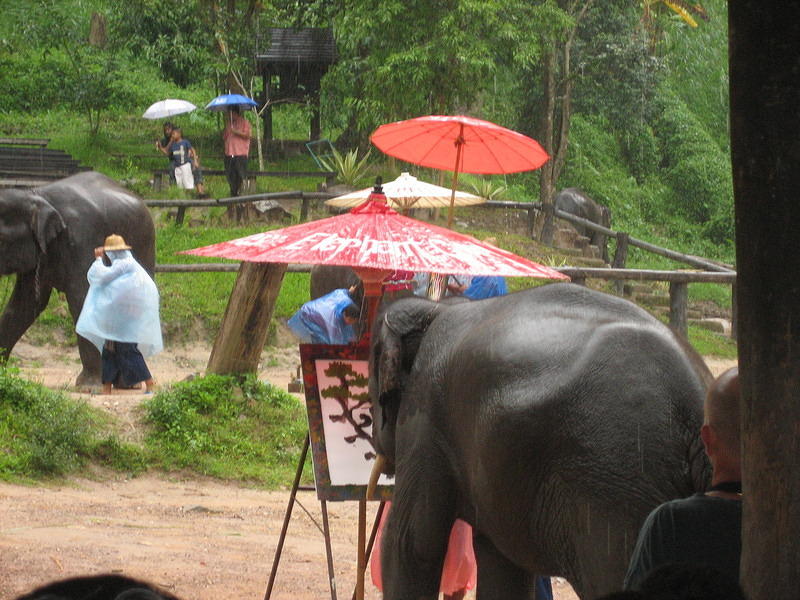 Elephant Painting