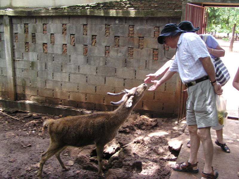 Feeding the Animals