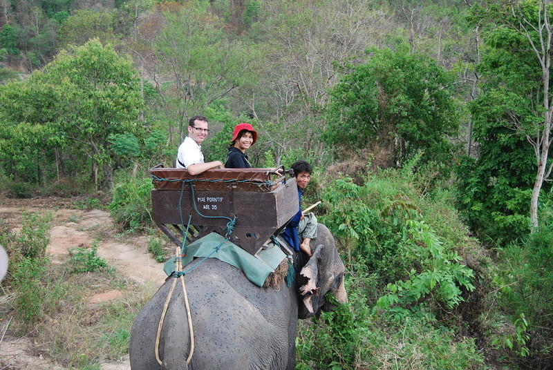 Maesa Elephant Farm