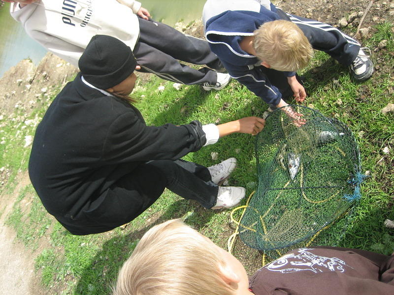 Catching Yabbies