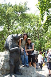 The bear exhibit