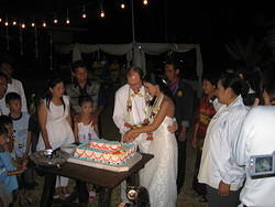 Cutting the Cake