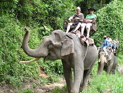 Elephant Trek