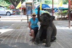 Pete and Ally in Thailand