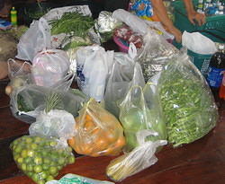 Assortment of Fruit and Vegies